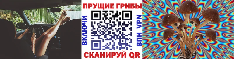 Псилоцибиновые грибы мухоморы наркошоп Назрань